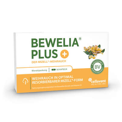 Sie sehen eine Packung Mizell Weihrauch Kapseln – 50-fach bioverfügbar mit Vitamin K2 – 600 mg & 250 mg AKBA, Produktbild: 01 Mizell Weihrauch Kapseln – 50-fach bioverfügbar mit Vitamin K2 – 600 mg & 250 mg AKBA, A-Nr.: 5614238 - 01