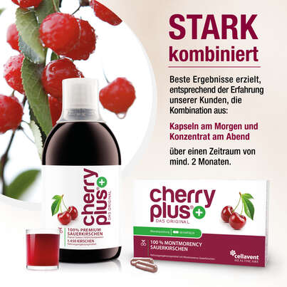 Montmorency-Sauerkirsch Kapseln – hochdosierter Extrakt – 55.000 mg pro Tagesdosis, A-Nr.: 4753908 - 04