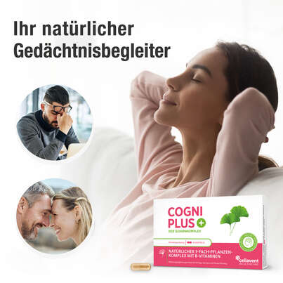 Sie sehen eine Packung Der Gehirnkomplex aus Ginkgo, Bacopa und Panax Ginseng – hochkonzentriert mit B-Vitaminen – 30 Kapseln, Produktbild: 02 Der Gehirnkomplex aus Ginkgo, Bacopa und Panax Ginseng – hochkonzentriert mit B-Vitaminen – 30 Kapseln, A-Nr.: 5895697 - 02