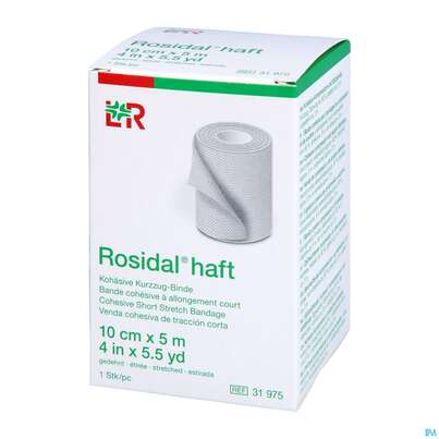 Rosidal Haft Bandage 10cmx 5m 1st, A-Nr.: 4151150 - 02