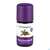 Sie sehen eine Packung Aetherische Oele Taoasis Bio Wintergreen 5ml, Produktbild: 03 Aetherische Oele Taoasis Bio Wintergreen 5ml, A-Nr.: 4158442 - 03
