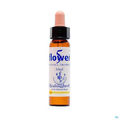 Healing Herbs 39 Five Flower Remedy Notfalltropfen 10ml, A-Nr.: 2185883 - 01