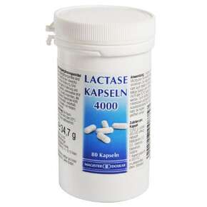 Lactase 4000 IE Enzyme, A-Nr.: 3246150 - 01