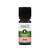 APOfit Ätherisches Öl Anis 10ml, A-Nr.: 4049799 - 01