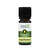 APOfit Ätherisches Öl Angelikawurzel 1ml, A-Nr.: 1994439 - 01