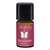 Farfalla Aromamischung Weihnachtsstern 5ml, A-Nr.: 4907777 - 01