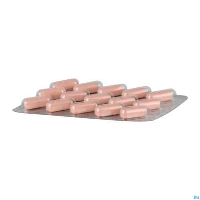 Sie sehen eine Packung Arginin Plus/filmtabl Vit B1+b6+b12+folsaeure 120st, Produktbild: 05 Arginin Plus/filmtabl Vit B1+b6+b12+folsaeure 120st, A-Nr.: 5431242 - 05
