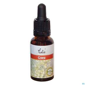 Edis Bio 13 Gorse 20ml, A-Nr.: 4108042 - 01