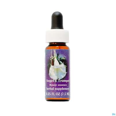 Fes Angel&#039;s Trumpet 7,5ml, A-Nr.: 2153162 - 01