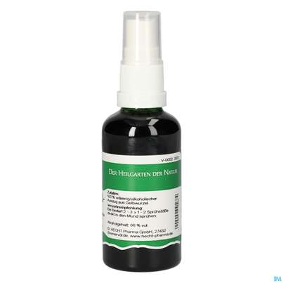 Pater Severin Gelbwurzel Spray, A-Nr.: 4485810 - 01