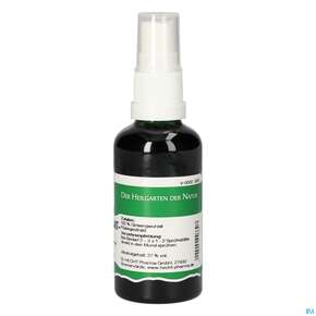 Pater Severin Ginsengextrakt Spray, A-Nr.: 4443958 - 01