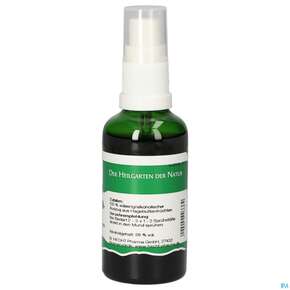 Pater Severin Hagebutten Spray, A-Nr.: 4444018 - 01