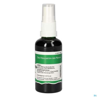 Pater Severin Holunderbeeren Spray, A-Nr.: 4789177 - 04