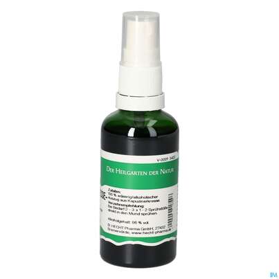 Pater Severin Kapuzinerkresse Spray, A-Nr.: 5695596 - 01