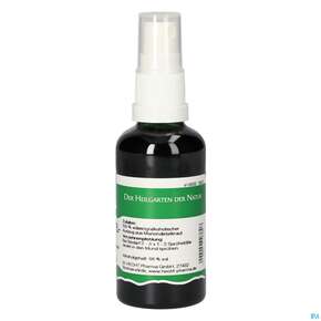 Pater Severin Mariendistel Spray, A-Nr.: 4444521 - 01