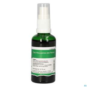 Pater Severin Melissen Spray, A-Nr.: 4444550 - 01