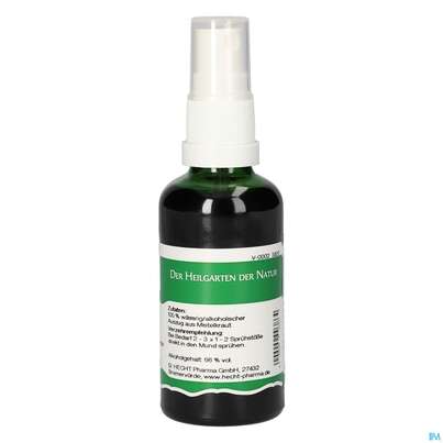 Pater Severin Mistel Spray, A-Nr.: 4444567 - 04