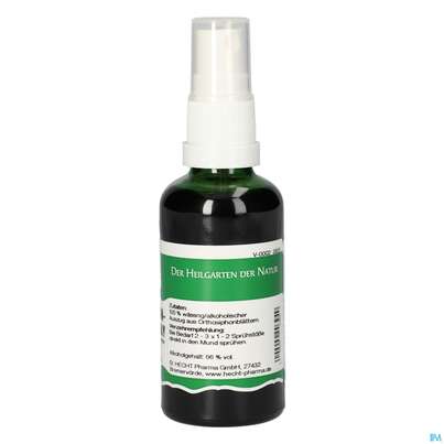 Pater Severin Orthosiphonblätter Spray, A-Nr.: 4444662 - 01