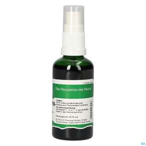 Pater Severin Passionsblumen Spray, A-Nr.: 4444679 - 01