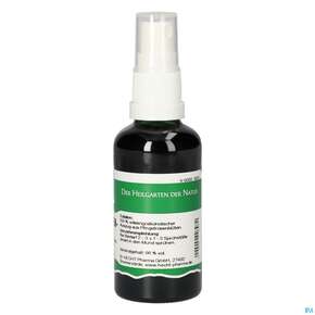 Pater Severin Pfingstrosen Spray, A-Nr.: 4444691 - 01