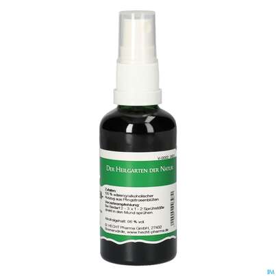 Pater Severin Pfingstrosen Spray, A-Nr.: 4444691 - 01