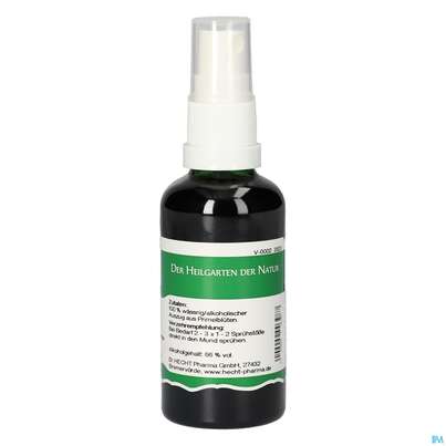 Pater Severin Primel Spray, A-Nr.: 4444716 - 04