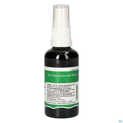 Pater Severin Sanguinaria Spray, A-Nr.: 4566514 - 01