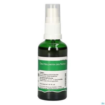 Pater Severin Selleriesamen Spray, A-Nr.: 4932887 - 04