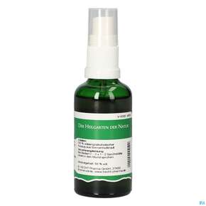 Pater Severin Sonnenhut Spray, A-Nr.: 4444946 - 01