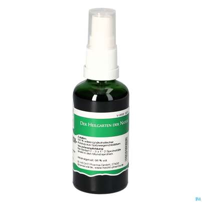 Pater Severin Spitzwegerich Spray, A-Nr.: 4444969 - 01