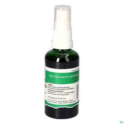 Pater Severin Spitzwegerich Spray, A-Nr.: 4444969 - 04