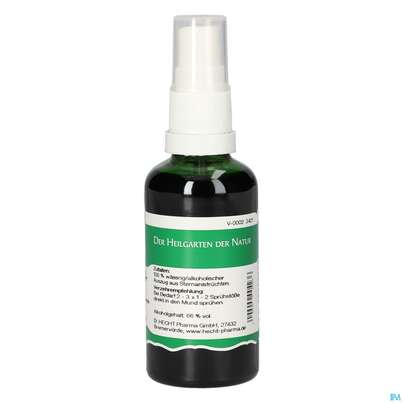 Pater Severin Sternanis Spray, A-Nr.: 4444981 - 04