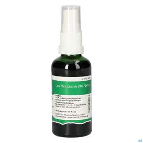 Pater Severin Wegwarte Spray, A-Nr.: 4445118 - 01