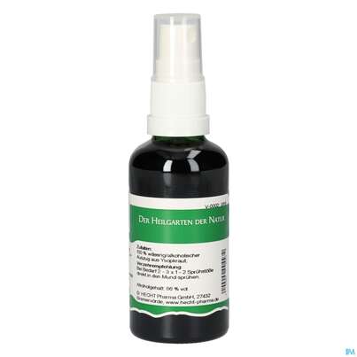 Pater Severin Ysopkraut Spray, A-Nr.: 4445199 - 01