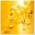 Sie sehen eine Packung Sonnenprodukte Nuxe Sun Gesicht +koerper Tanning Sun Oil Spf50 150ml, Produktbild: 03 Sonnenprodukte Nuxe Sun Gesicht +koerper Tanning Sun Oil Spf50 150ml, A-Nr.: 5755281 - 03