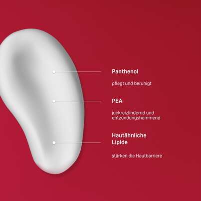 PHYSIOGEL® Calming Relief A.I. Handcreme für gereizte Hände, A-Nr.: 5460290 - 03