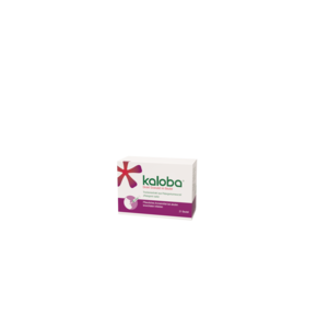 Kaloba® Direkt Granulat: 21 Stk. Beutel, A-Nr.: 5532871 - 01