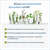 NatuGena Q10 Ubiquinol Spray, A-Nr.: 5815178 - 05