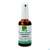 Gemmo Mazerat Johannisbeer/schwarz Ribes Nigrum/sprueh Phytopharma 50ml, A-Nr.: 3107388 - 02