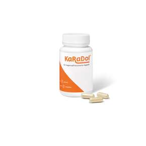 KaRaDol magensaftresistente Kapseln 60 Stk., A-Nr.: 5882424 - 01
