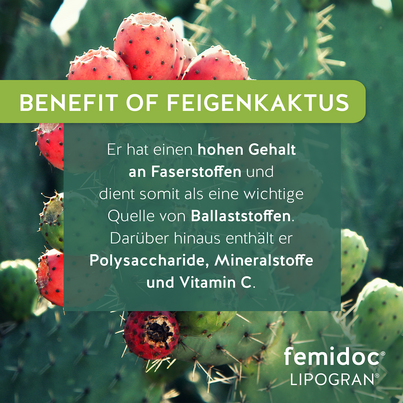 Sie sehen eine Packung femidoc® LIPOGRAN® FORTE, Produktbild: 05 femidoc® LIPOGRAN® FORTE, A-Nr.: 5859201 - 05