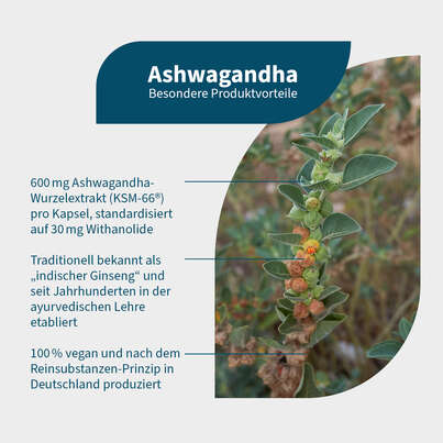 NatuGena Ashwagandha Kapseln, A-Nr.: 5699080 - 02