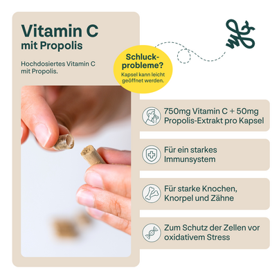 Sie sehen eine Packung Vitamin C 750mg + Propolis, Produktbild: 03 Vitamin C 750mg + Propolis, A-Nr.: 6022729 - 03