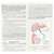 Sie sehen eine Packung Aboca Metarecod 2,5g 40st, Produktbild: 05 Aboca Metarecod 2,5g 40st, A-Nr.: 5906610 - 05