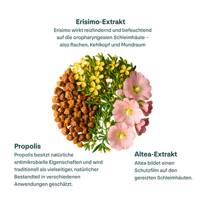 Sie sehen eine Packung Propolis Halsspray+, Produktbild: 06 Propolis Halsspray+, A-Nr.: 6022698 - 06