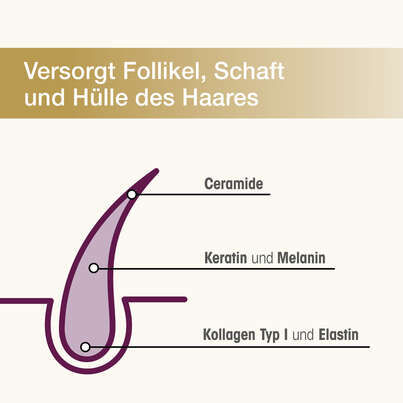 Sie sehen eine Packung Dr. Böhm Haarstruktur Premium Wirkkomplex, Produktbild: 04 Dr. Böhm Haarstruktur Premium Wirkkomplex, A-Nr.: 6028146 - 04
