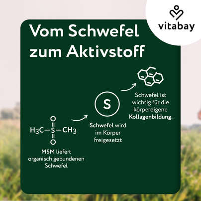 Sie sehen eine Packung Vitabay MSM - Methylsulfonylmethan 1.000 mg, Produktbild: 05 Vitabay MSM - Methylsulfonylmethan 1.000 mg, A-Nr.: 6049013 - 05