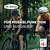 Dr. Böhm Magnesium Sport Brausetabletten, A-Nr.: 2745709 - 02