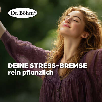 Sie sehen eine Packung Dr. Böhm Passionsblume, Produktbild: 02 Dr. Böhm Passionsblume, A-Nr.: 3528322 - 02