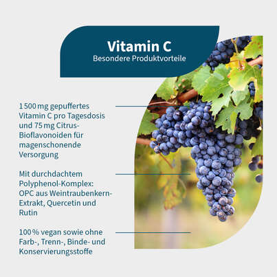 Sie sehen eine Packung NatuGena Vitamin C Kapseln, Produktbild: 02 NatuGena Vitamin C Kapseln, A-Nr.: 5404185 - 02